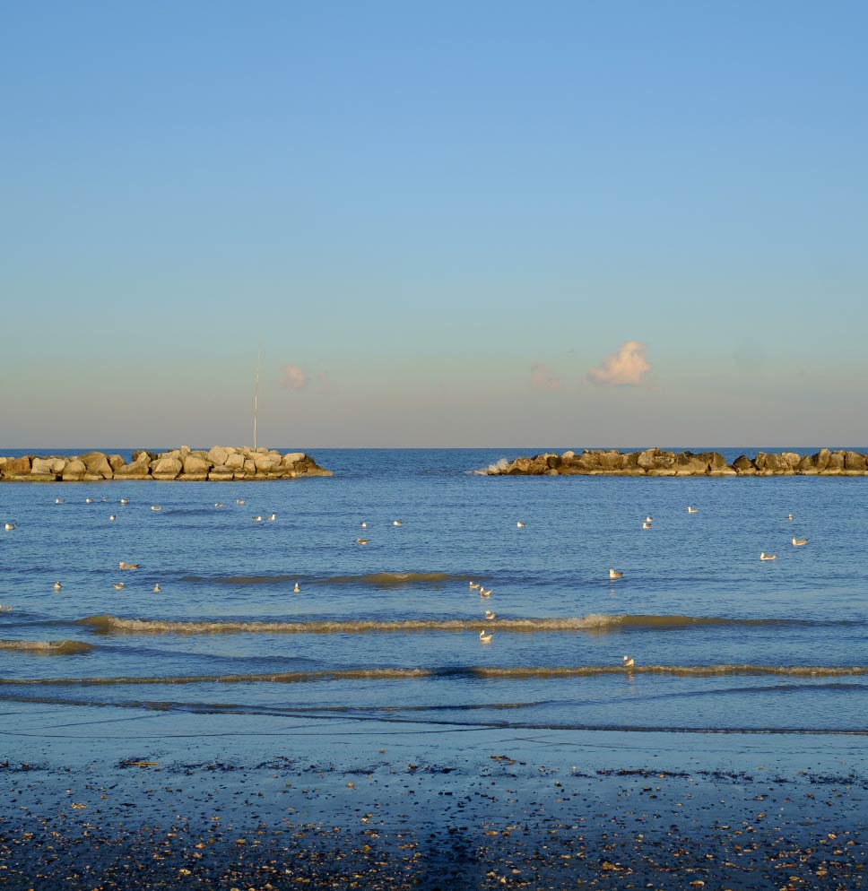 nizzahotel it 1-it-279755-offerta-luglio-al-mare-cesenatico-in-hotel-tutto-compreso 004